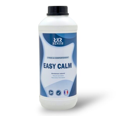 easy calm_rekor