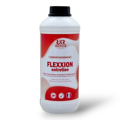 flexxion_entretien_rekor