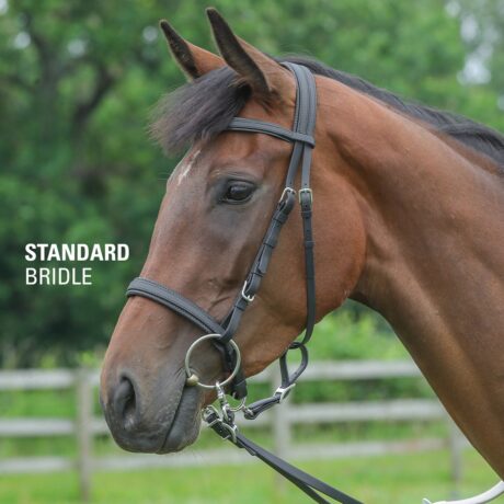 2021-06-Sidepull-Bitless-Bridle1