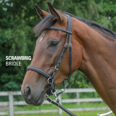 2021-06-Sidepull-Bitless-Bridle3