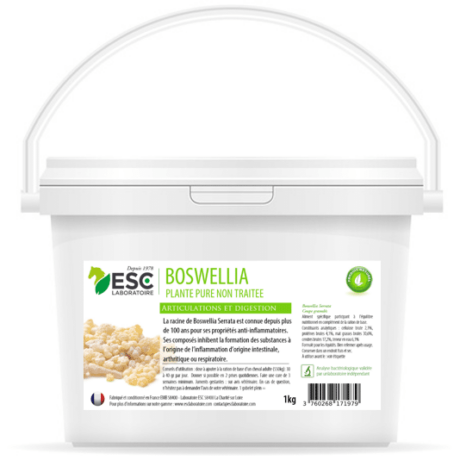 Boswellia