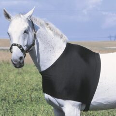 protection d'épaule