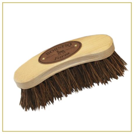 brosse borstiq 2