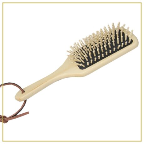 brosse borstiq 3