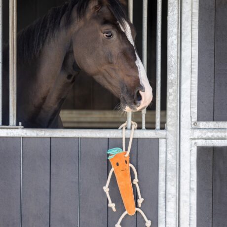 jouet pour cheval carotte