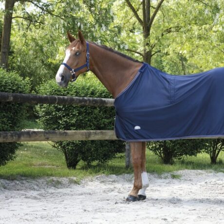 chemise séchante Equitheme_microflee