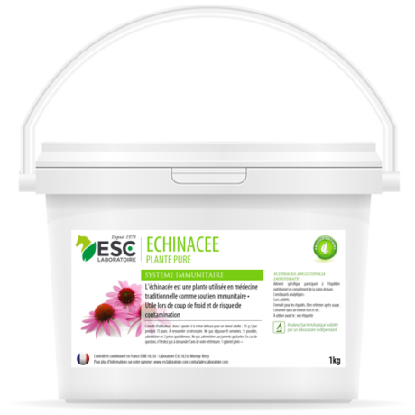 echinacee-1kg