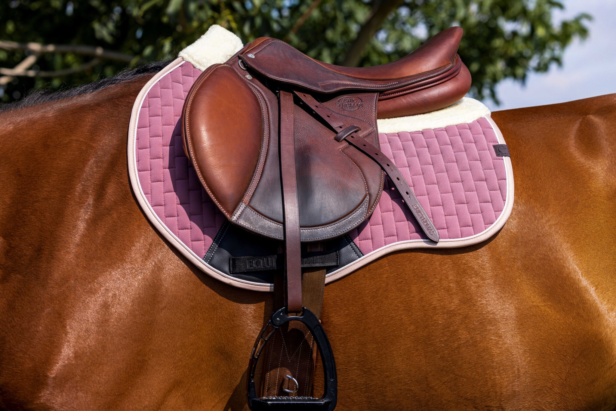 204007016_ambi_1_web