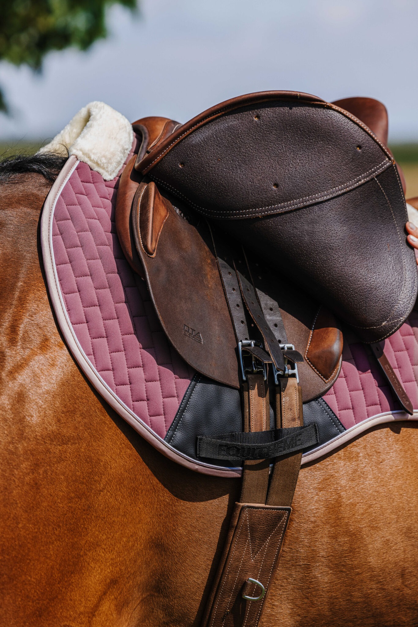 204007016_ambi_4_web