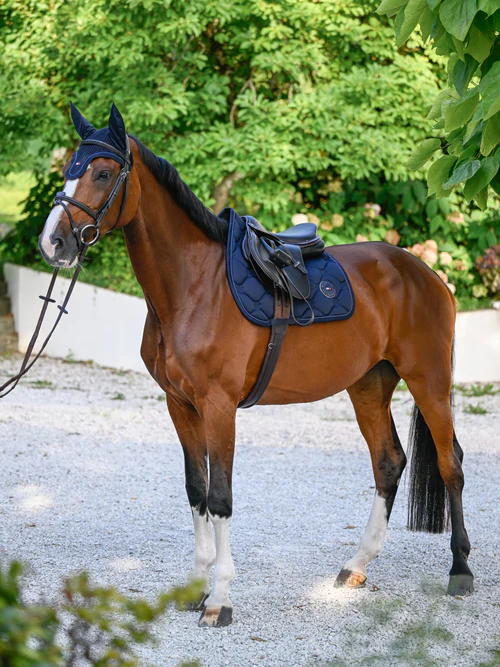 Tapis tommy hilfiger liberty