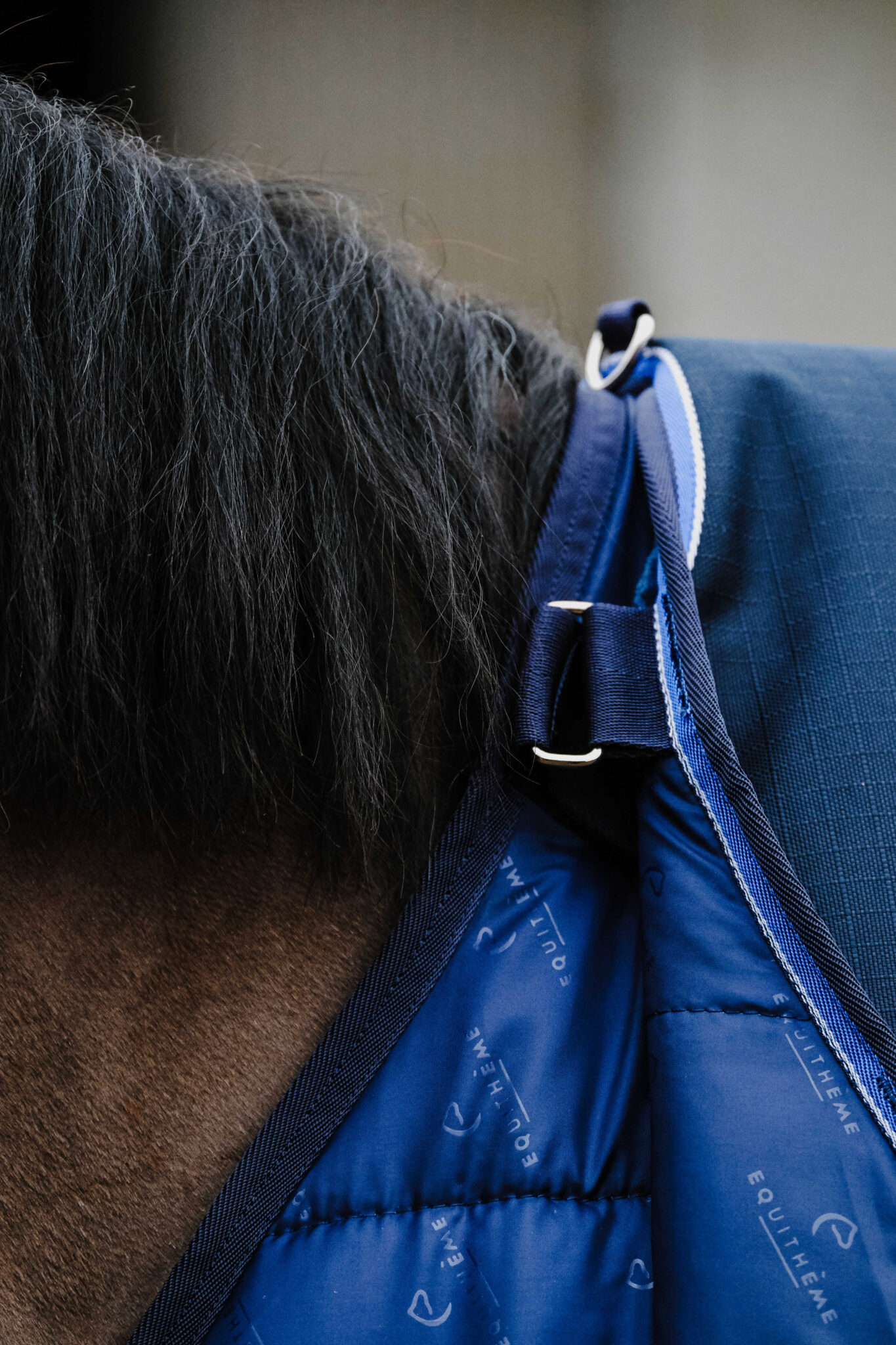 400545063_ambi_2_web