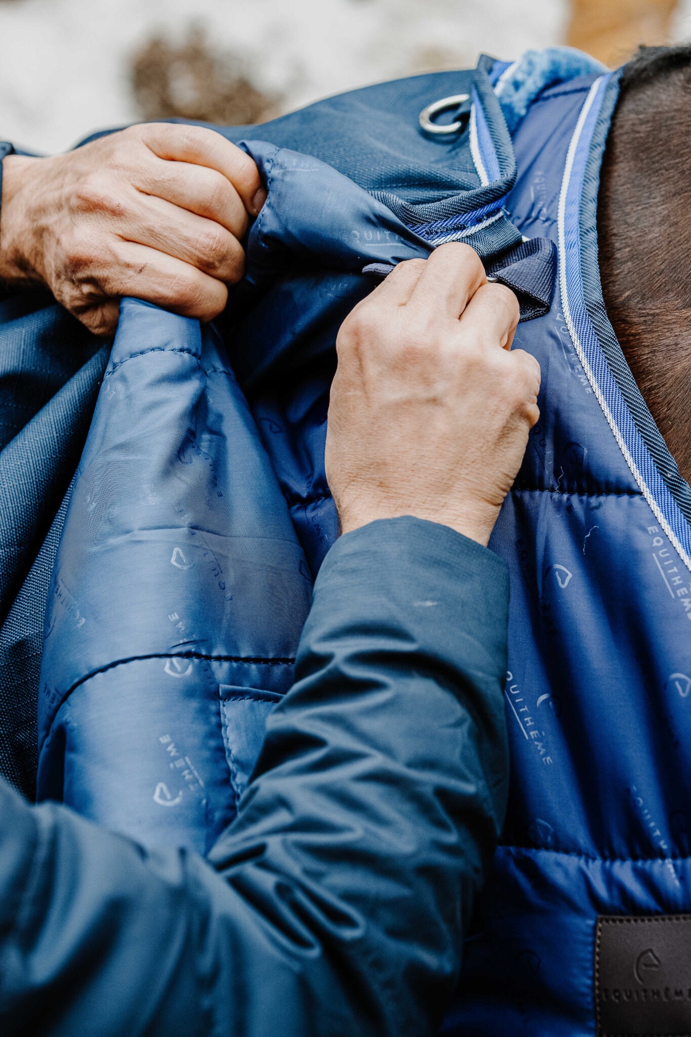 400550063_ambi_4_web