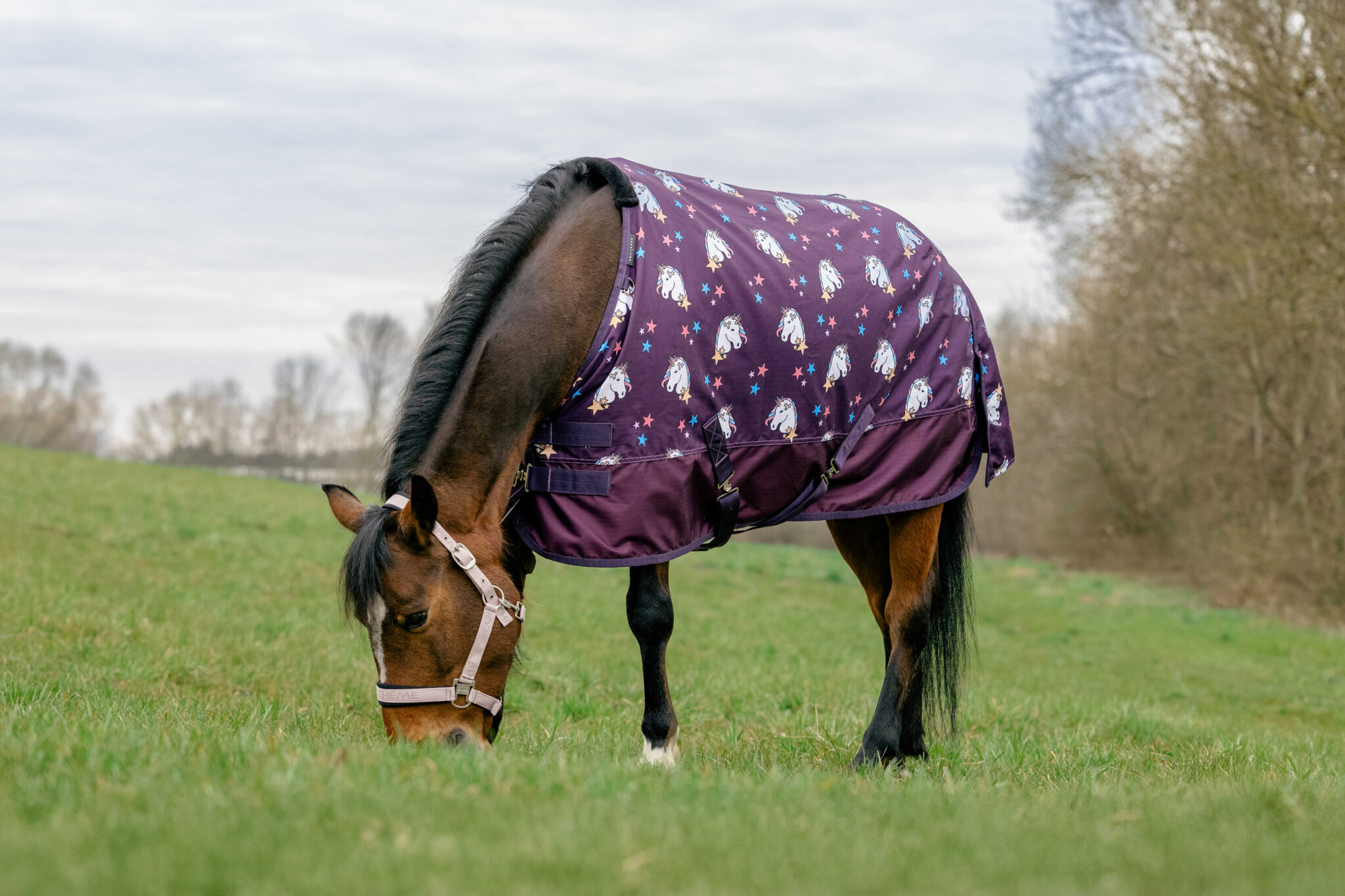 400585150_ambi_1_web