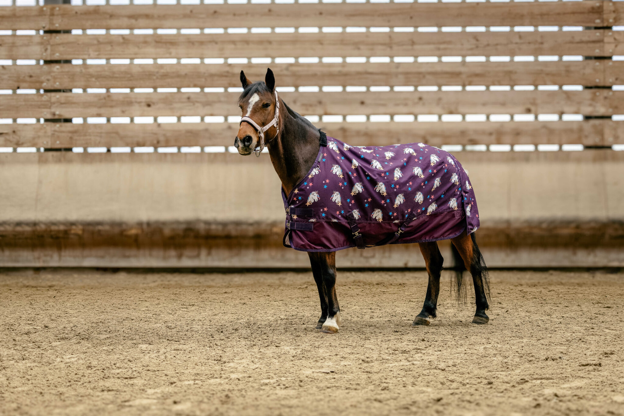 couverture equithème licorne