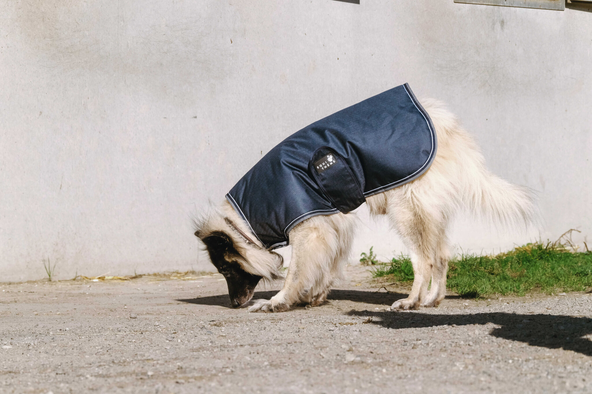 409036260_ambi_1_web