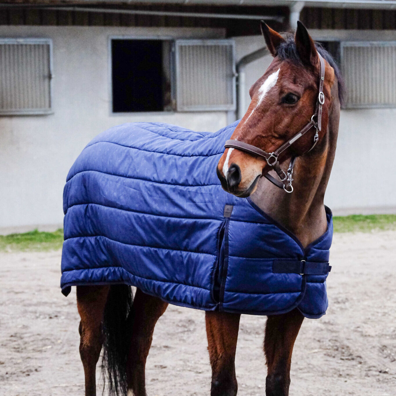 sous-couverture classic equithème_JEM Sellerie