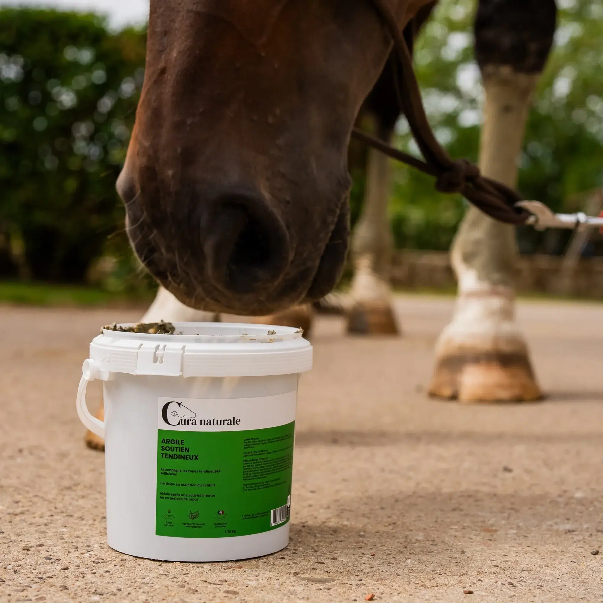 photo-1-argile-soutien-tendineux-cheval-packaging-cura-naturale