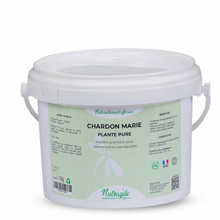 chardon-marie-