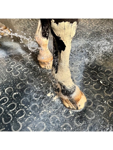 pate-d-argile-hydra-marine