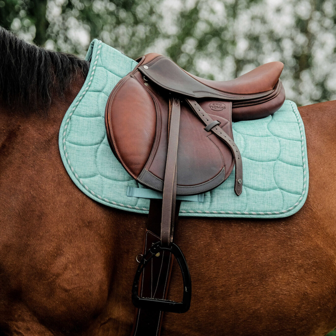 tapis riding world vert clair jem sellerie