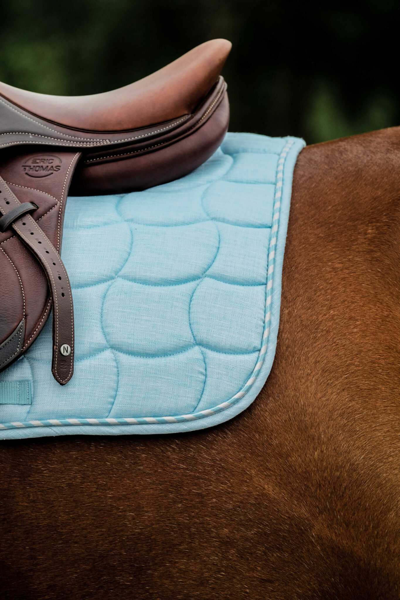 204062012_ambi_5_web