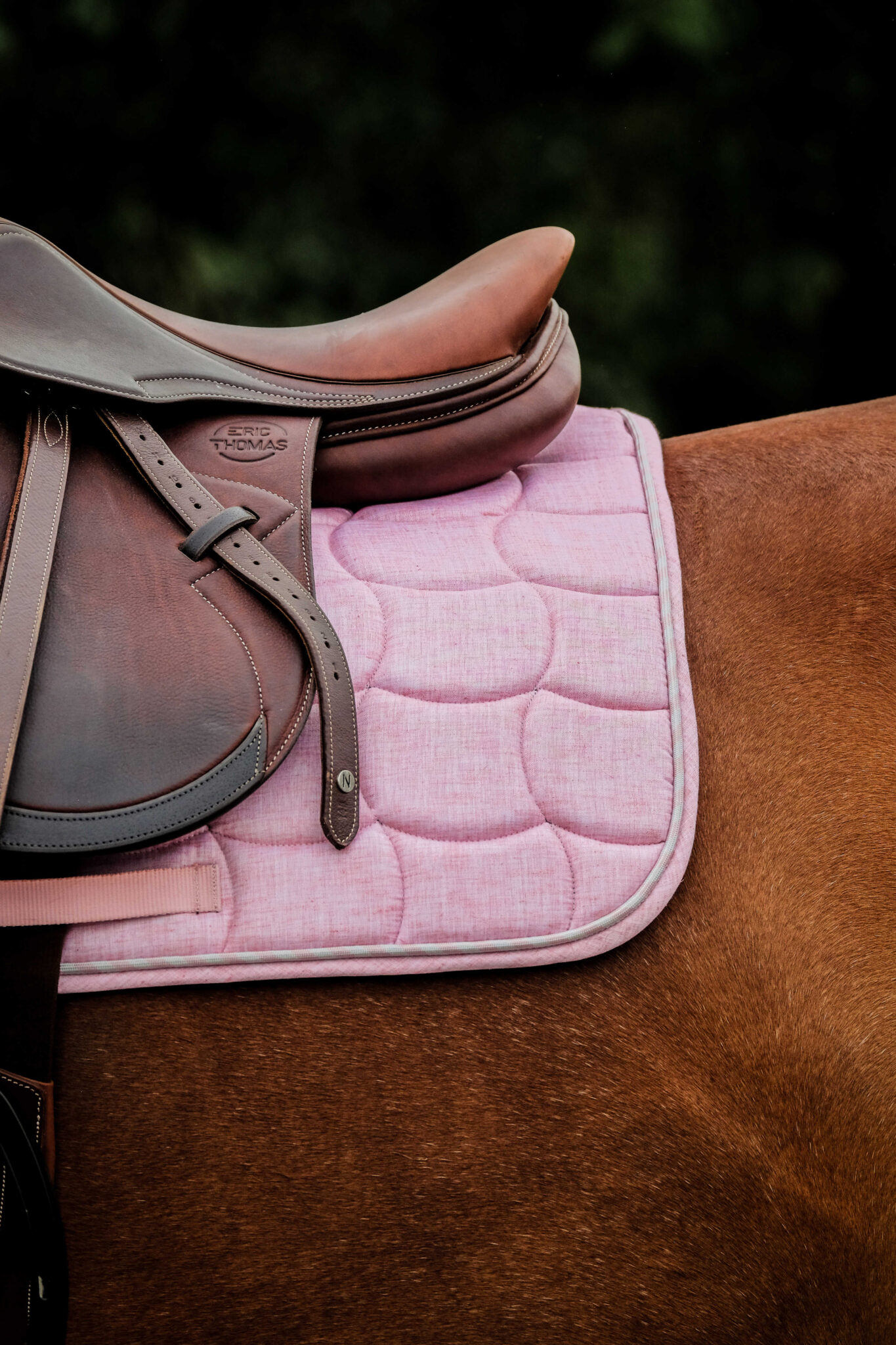 204062013_ambi_3_web