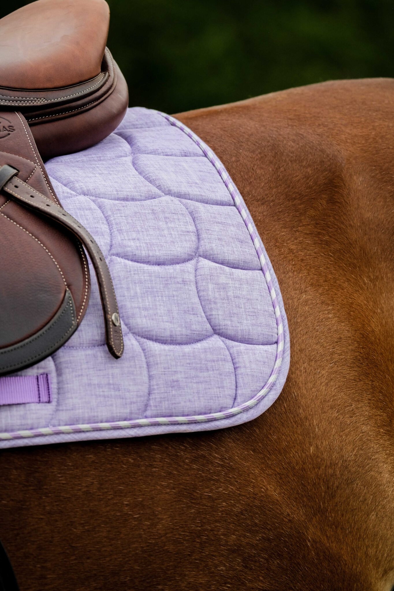 tapis de selle Sunshine riding world pas cher jem sellerie