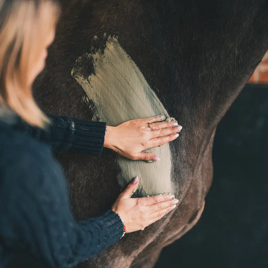 Cataplasme–decontractant–musculaire