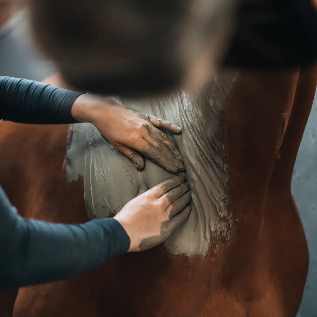 Cataplasme-naturel_6170b58a-0637-4a32-9e97-39ff4b07f6f5