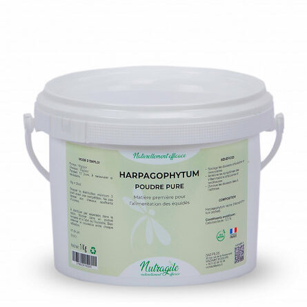 harpagophytum-poudre