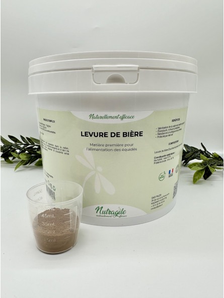 levure-de-biere-poudre