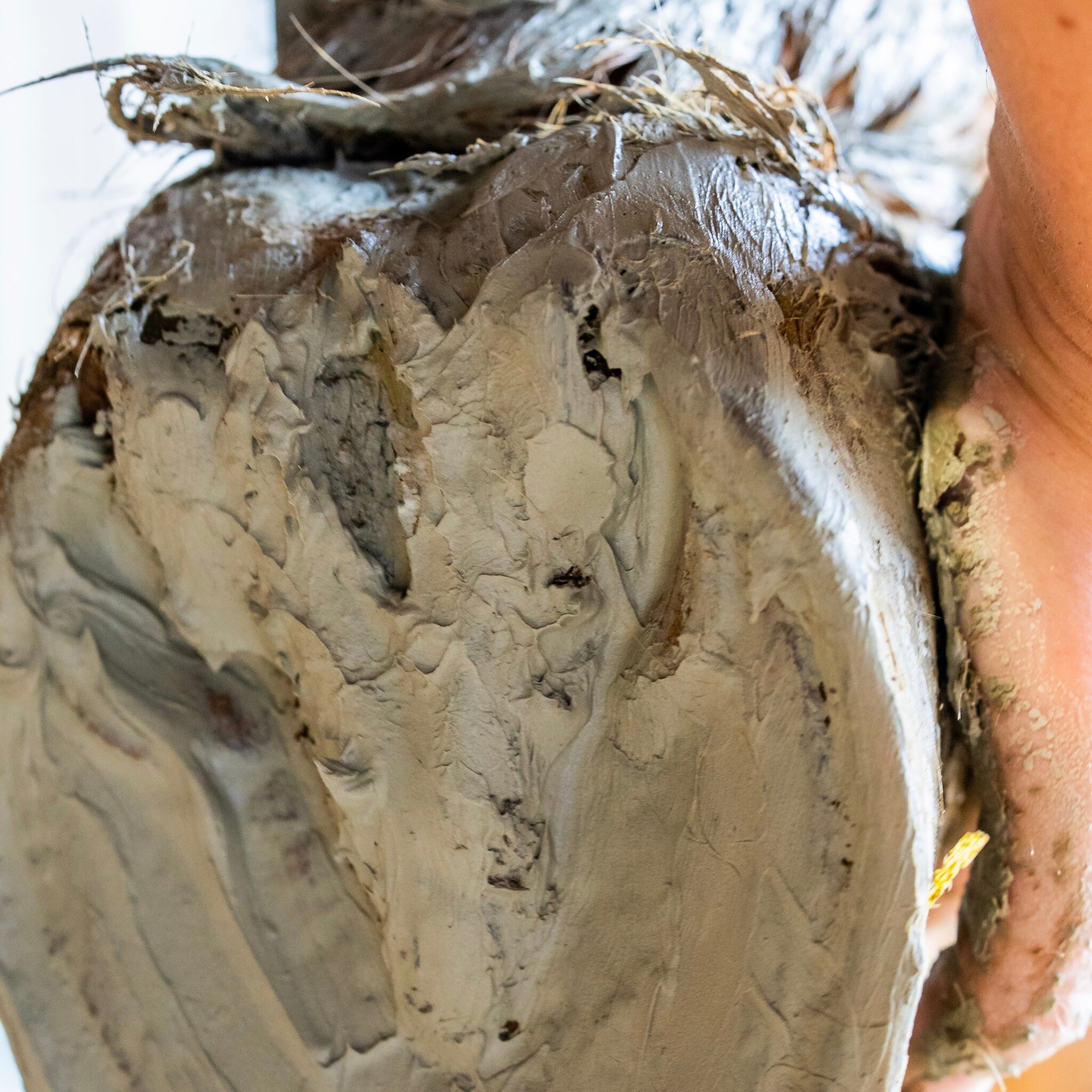 photo-4-argile-sabots-sensibles-cheval