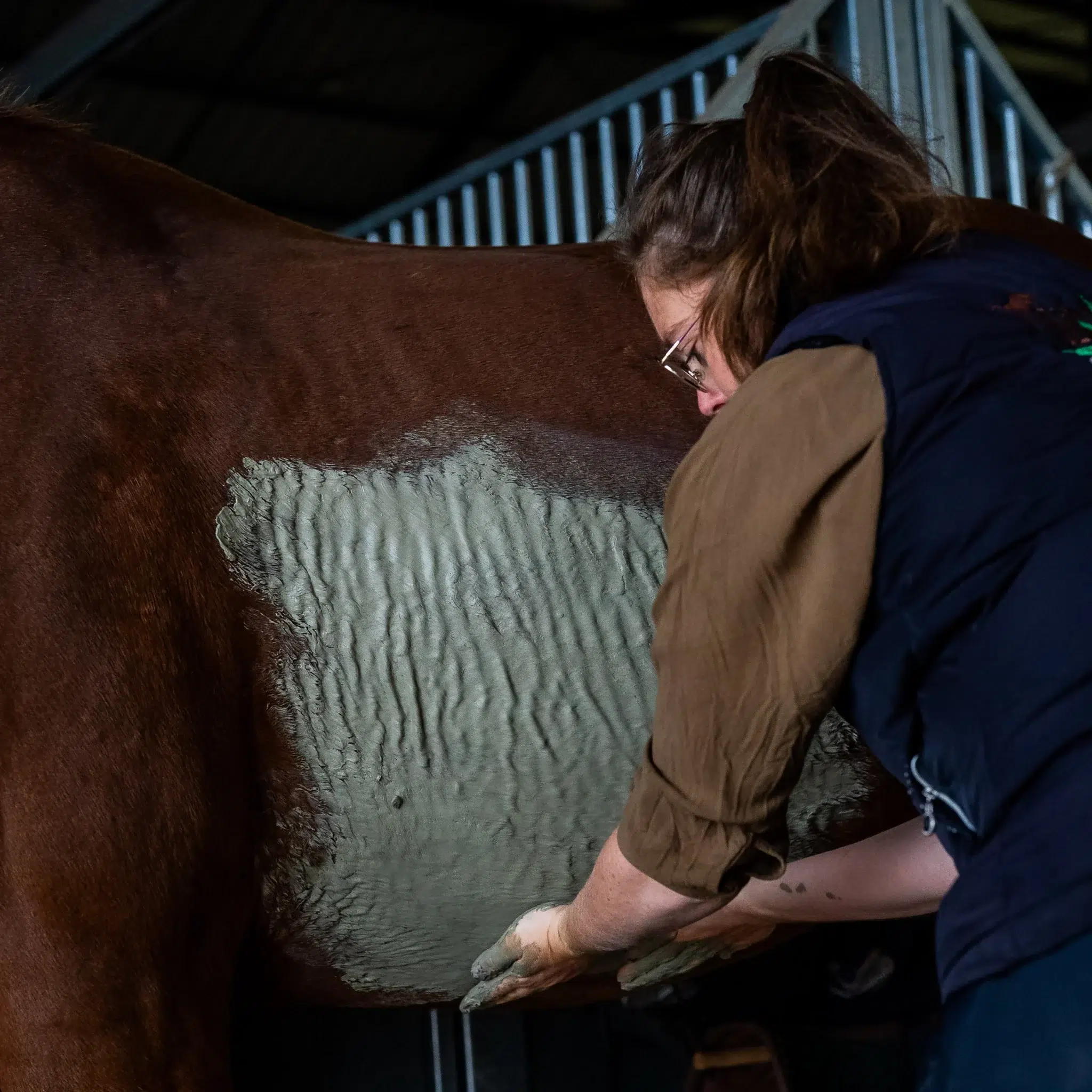 photo-5-argile-chauffante-cheval-application-cura-naturale