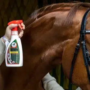 spray anti insecte tam tam leovet vert