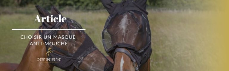 Choisir son masque anti-insecte et protéger efficacement son cheval.