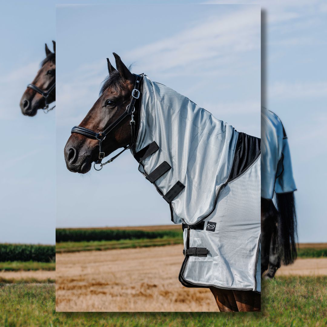Riding World - chemise anti-insectes Belly mesh Combo – Image 3