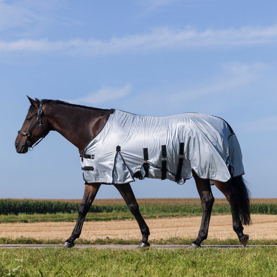 Riding World - chemise anti-insectes Belly mesh
