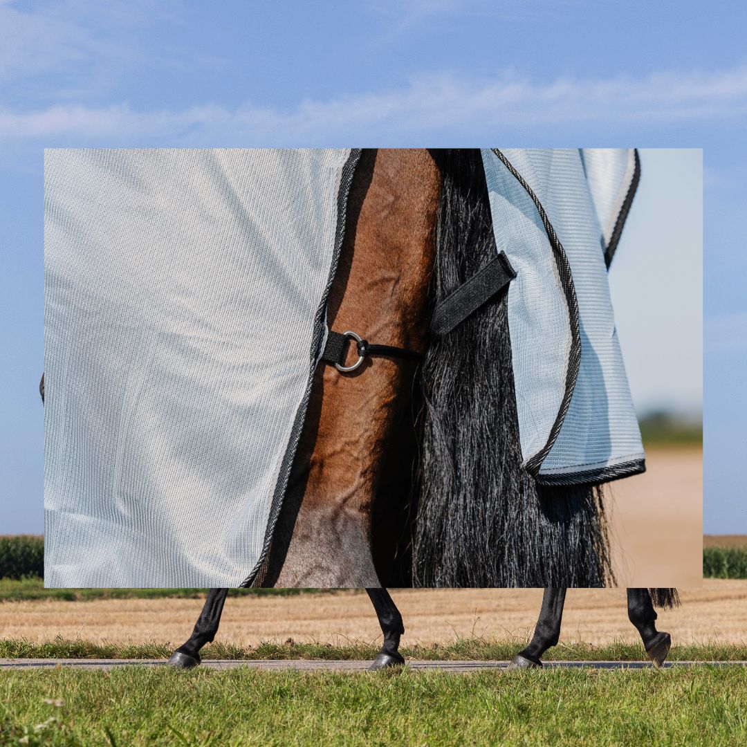 Riding World - chemise anti-insectes Belly mesh – Image 3