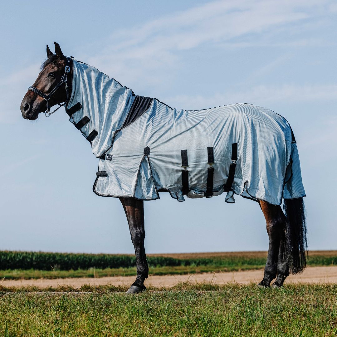 Riding World - chemise anti-insectes Belly mesh Combo