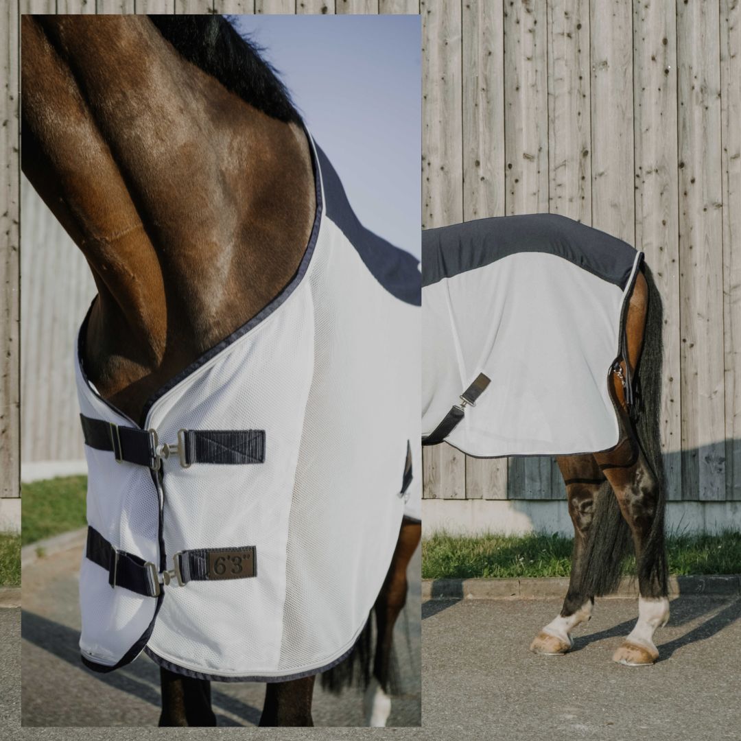 Equithème - Chemise anti-insectes Fly Cool – Image 2