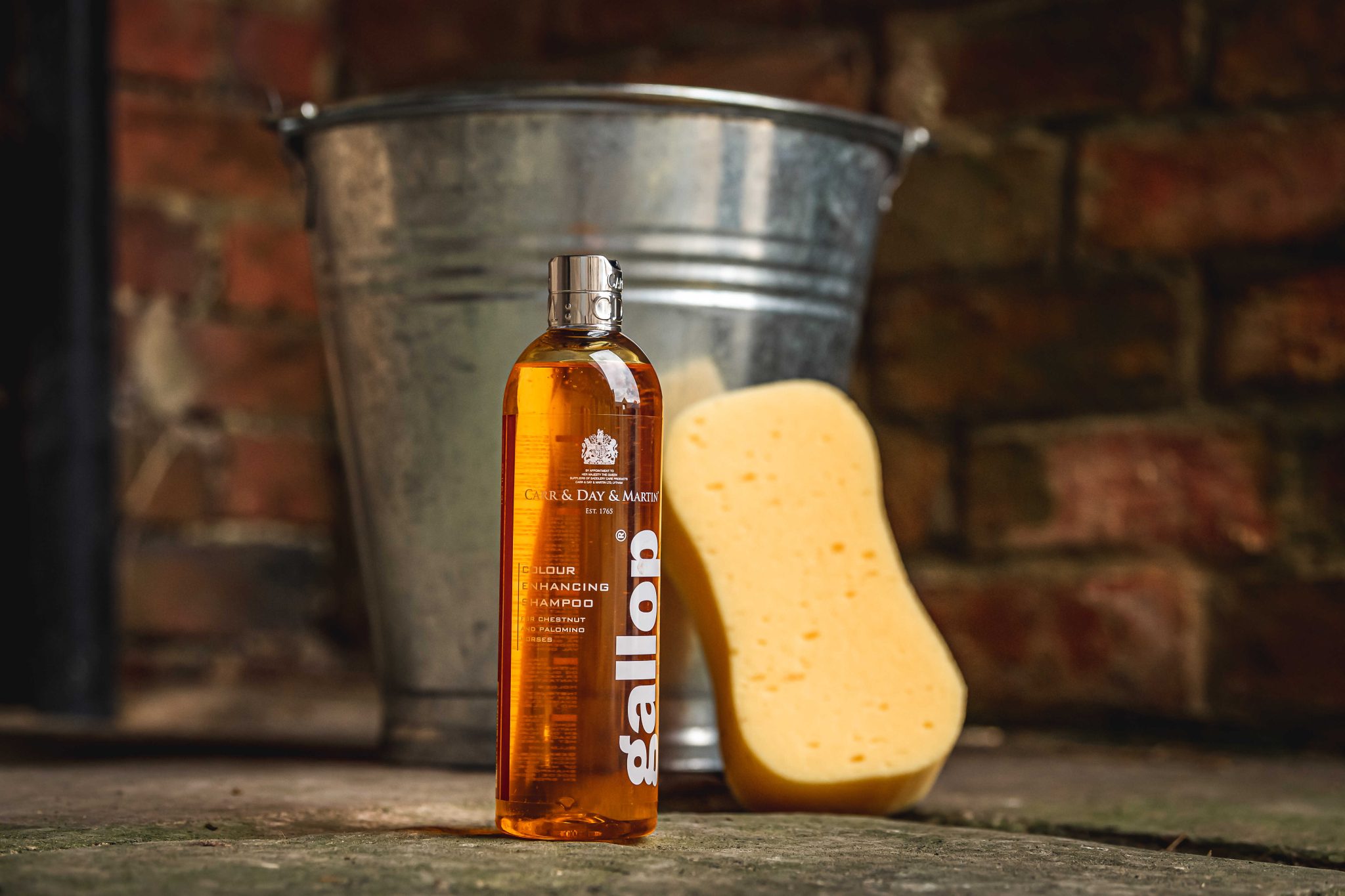 Carr Day & Martin : Shampooing soin pour robes – Image 4