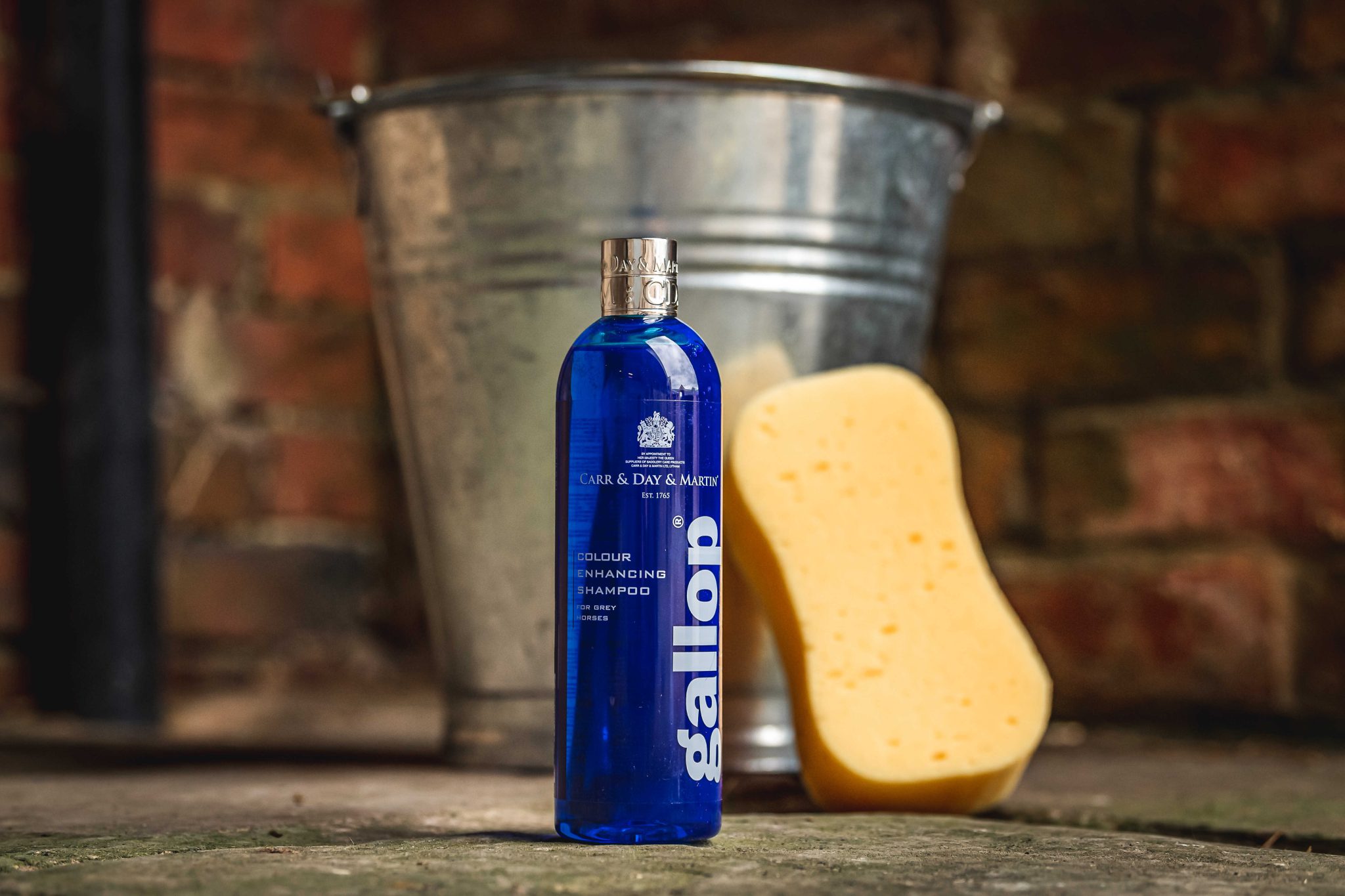 Carr Day & Martin : Shampooing soin pour robes – Image 3