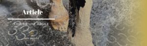 L&rsquo;argile pour chevaux : bien la choisir