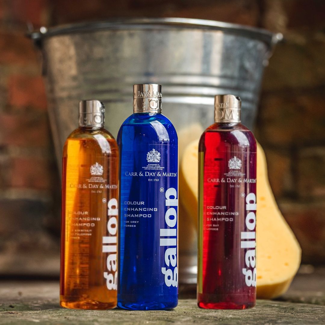 Carr Day & Martin : Shampooing soin pour robes